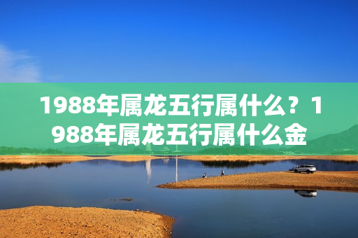 1988年属龙五行属什么？1988年属龙五行属什么金