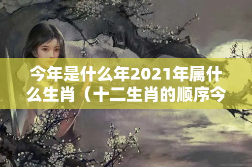 今年是什么年2021年属什么生肖（十二生肖的顺序今年什么年）