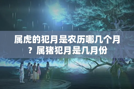 属虎的犯月是农历哪几个月？属猪犯月是几月份