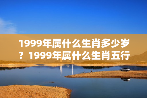 1999年属什么生肖多少岁？1999年属什么生肖五行属什么