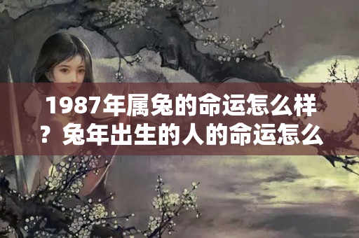 1987年属兔的命运怎么样？兔年出生的人的命运怎么样啊