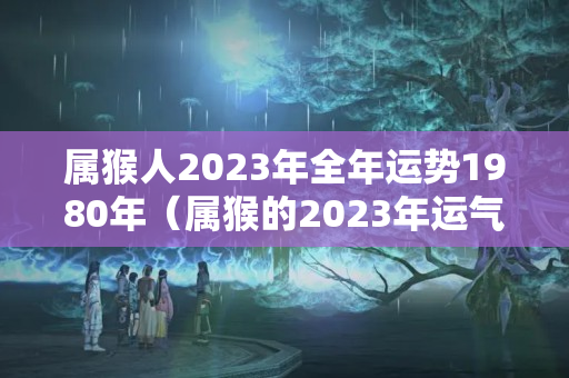 属猴人2023年全年运势1980年（属猴的2023年运气怎么样）