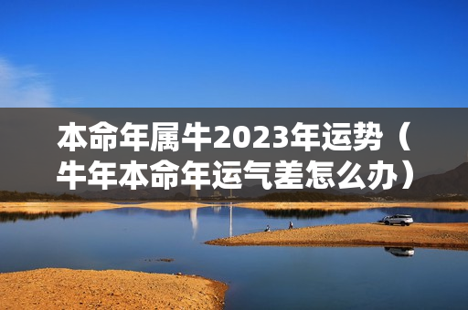 本命年属牛2023年运势（牛年本命年运气差怎么办）