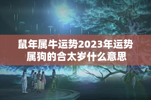 鼠年属牛运势2023年运势 属狗的合太岁什么意思