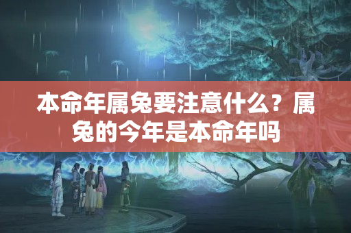 本命年属兔要注意什么？属兔的今年是本命年吗