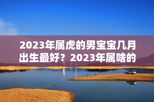 2023年属虎的男宝宝几月出生最好？2023年属啥的生男孩