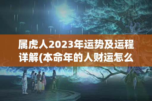 属虎人2023年运势及运程详解(本命年的人财运怎么样呢女)