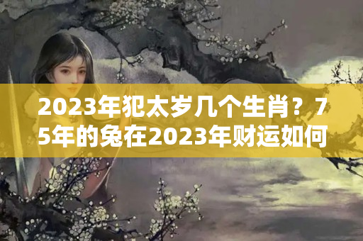 2023年犯太岁几个生肖？75年的兔在2023年财运如何