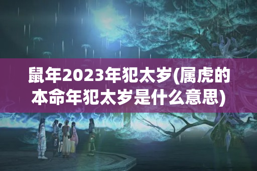 鼠年2023年犯太岁(属虎的本命年犯太岁是什么意思)