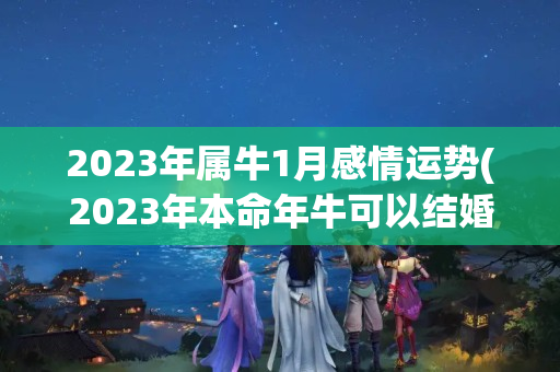 2023年属牛1月感情运势(2023年本命年牛可以结婚吗)