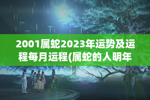 2001属蛇2023年运势及运程每月运程(属蛇的人明年运势如何)