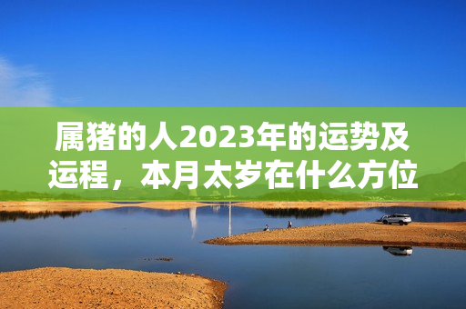 属猪的人2023年的运势及运程，本月太岁在什么方位