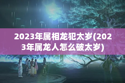 2023年属相龙犯太岁(2023年属龙人怎么破太岁)