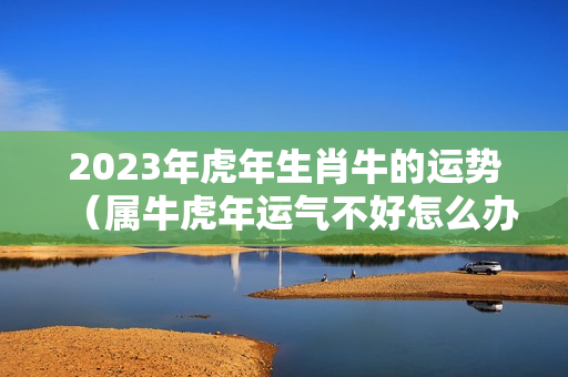 2023年虎年生肖牛的运势（属牛虎年运气不好怎么办）