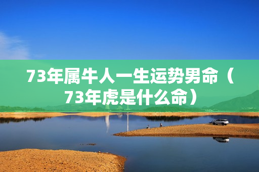 73年属牛人一生运势男命（73年虎是什么命）