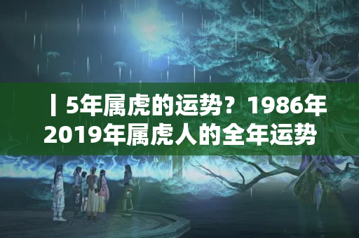 丨5年属虎的运势？1986年2019年属虎人的全年运势