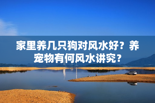 家里养几只狗对风水好？养宠物有何风水讲究？