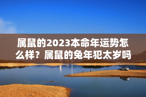 属鼠的2023本命年运势怎么样？属鼠的兔年犯太岁吗