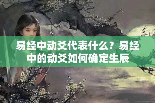 易经中动爻代表什么？易经中的动爻如何确定生辰