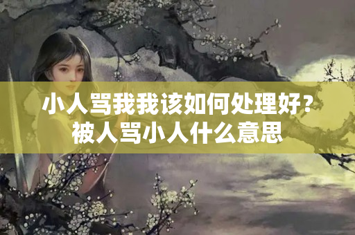 小人骂我我该如何处理好？被人骂小人什么意思