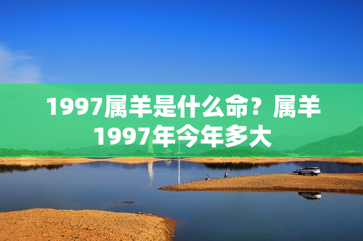 1997属羊是什么命？属羊1997年今年多大