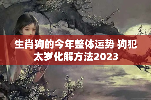 生肖狗的今年整体运势 狗犯太岁化解方法2023