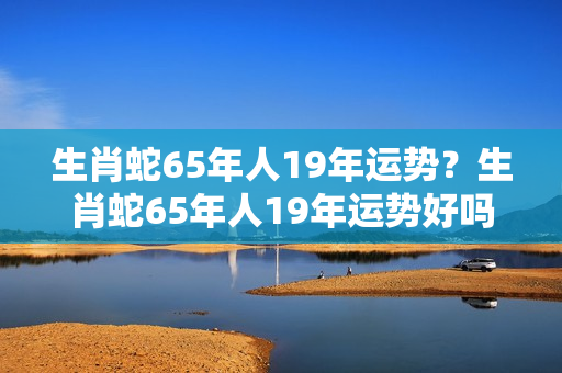 生肖蛇65年人19年运势？生肖蛇65年人19年运势好吗