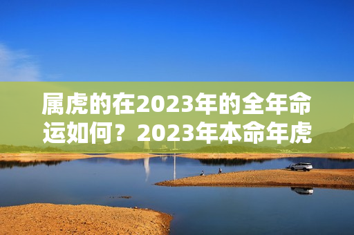 属虎的在2023年的全年命运如何？2023年本命年虎婚姻啥样