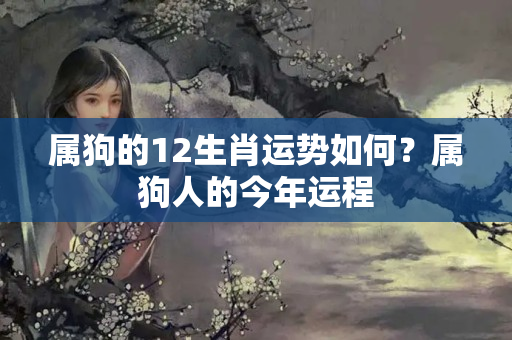 属狗的12生肖运势如何？属狗人的今年运程