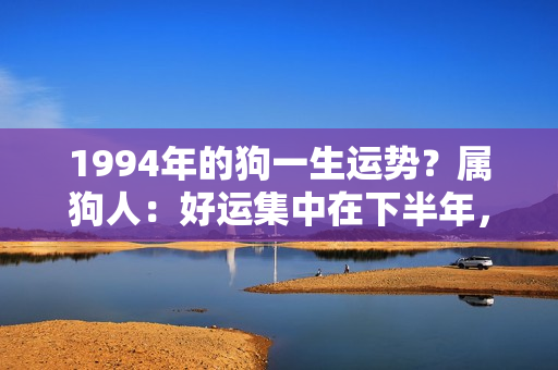 1994年的狗一生运势？属狗人：好运集中在下半年，8月财神爷来临，总算要开始“发威”啦！