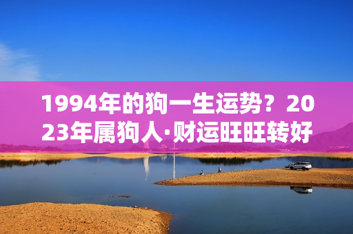 1994年的狗一生运势？2023年属狗人·财运旺旺转好运