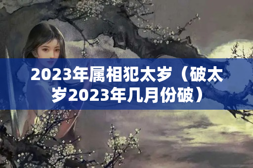 2023年属相犯太岁（破太岁2023年几月份破）