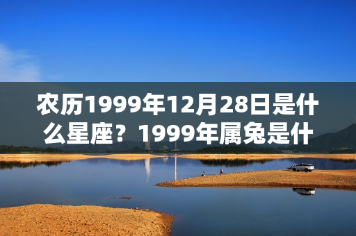 农历1999年12月28日是什么星座？1999年属兔是什么颜色