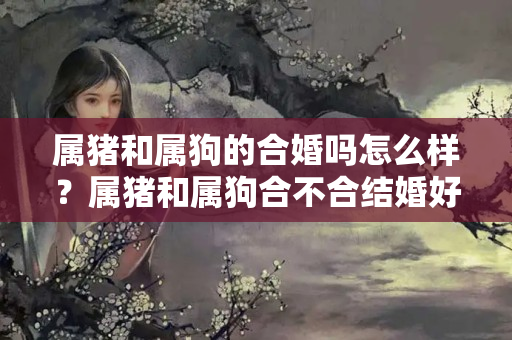 属猪和属狗的合婚吗怎么样？属猪和属狗合不合结婚好不好