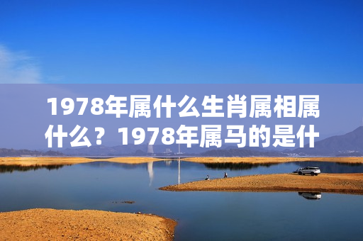 1978年属什么生肖属相属什么？1978年属马的是什么命