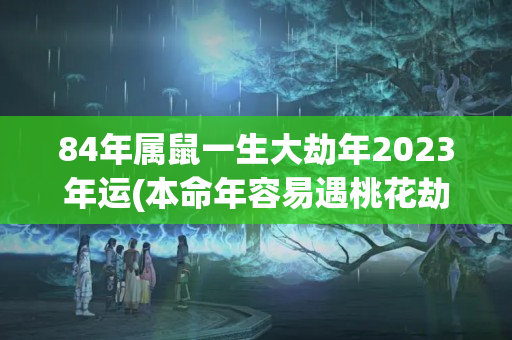 84年属鼠一生大劫年2023年运(本命年容易遇桃花劫吗吉凶)