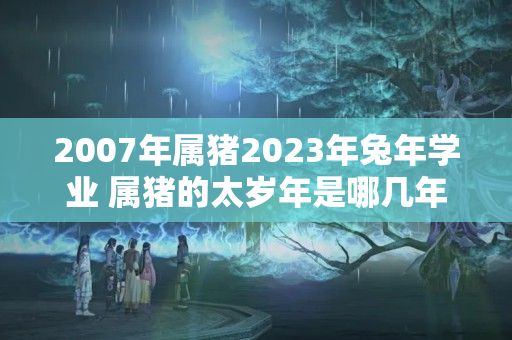 2007年属猪2023年兔年学业 属猪的太岁年是哪几年