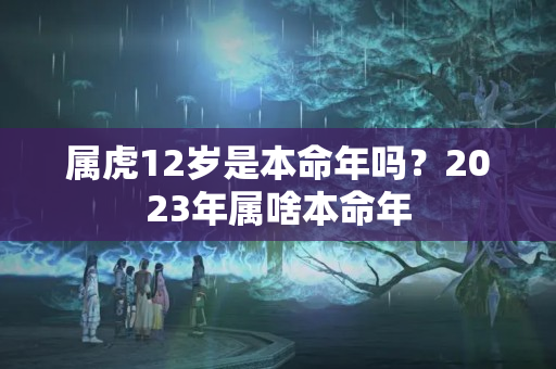 属虎12岁是本命年吗？2023年属啥本命年