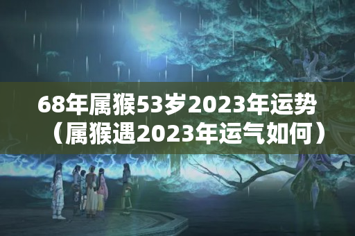 68年属猴53岁2023年运势（属猴遇2023年运气如何）