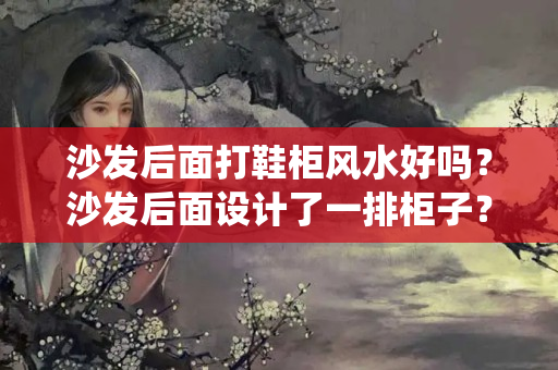 沙发后面打鞋柜风水好吗？沙发后面设计了一排柜子？这是什么神仙操作