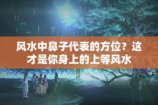 风水中鼻子代表的方位？这才是你身上的上等风水