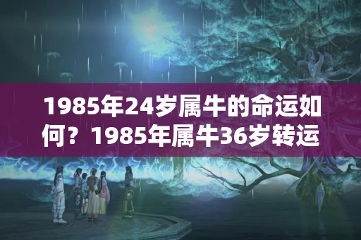 1985年24岁属牛的命运如何？1985年属牛36岁转运