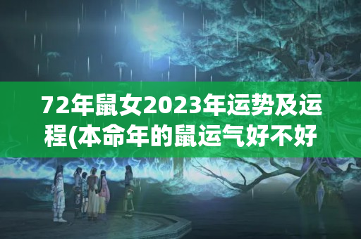 72年鼠女2023年运势及运程(本命年的鼠运气好不好)