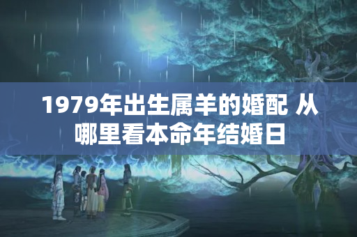 1979年出生属羊的婚配 从哪里看本命年结婚日