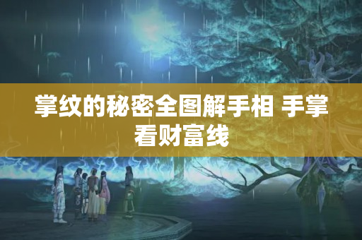 掌纹的秘密全图解手相 手掌看财富线