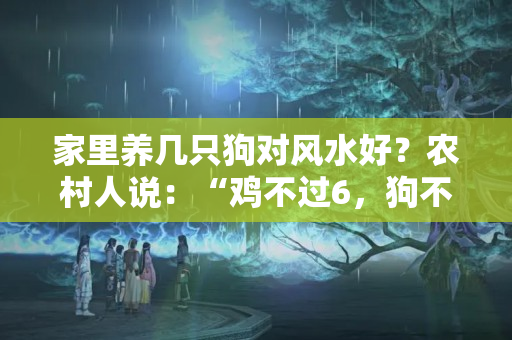 家里养几只狗对风水好？农村人说：“鸡不过6，狗不过8”，说的啥意思？有何历史渊源？