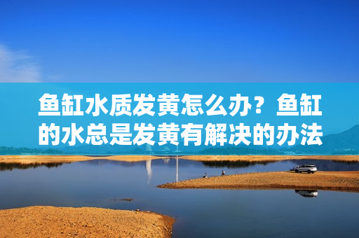 鱼缸水质发黄怎么办？鱼缸的水总是发黄有解决的办法没