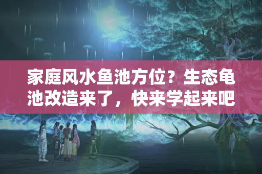 家庭风水鱼池方位？生态龟池改造来了，快来学起来吧！生态养龟开始了