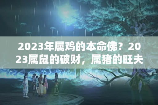 2023年属鸡的本命佛？2023属鼠的破财，属猪的旺夫,赶紧看看你属什么！