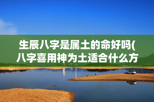 生辰八字是属土的命好吗(八字喜用神为土适合什么方位)